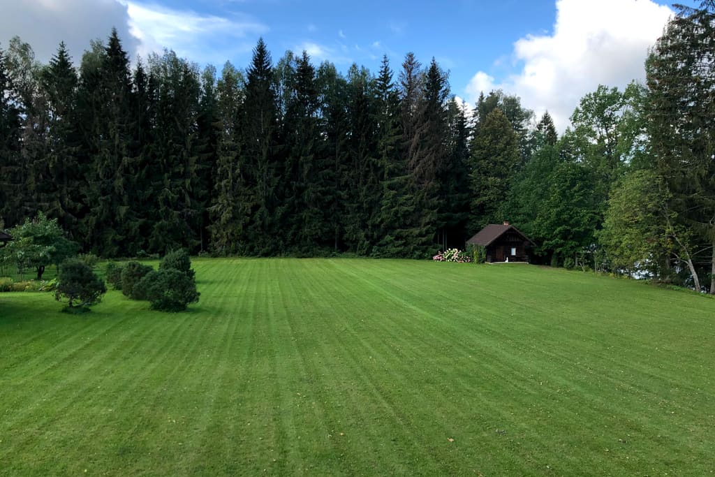 Suur ühtlaselt niidetud muruala triipmustriga, taustal metsaserv